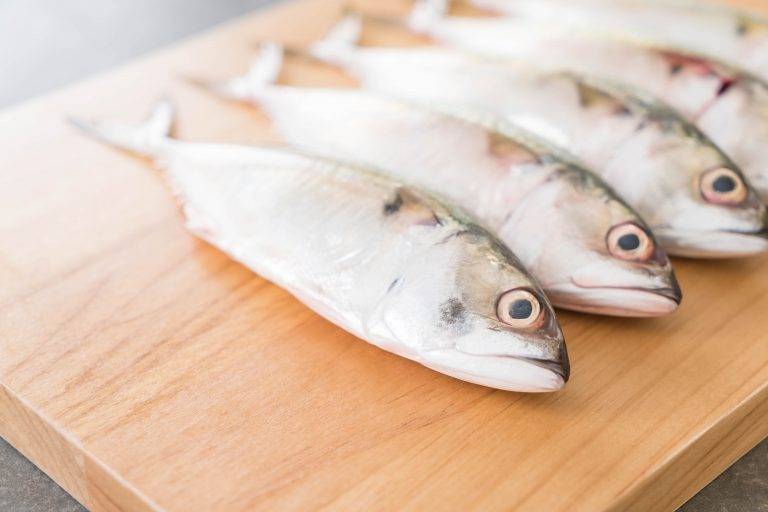 fresh mackerel on wood board