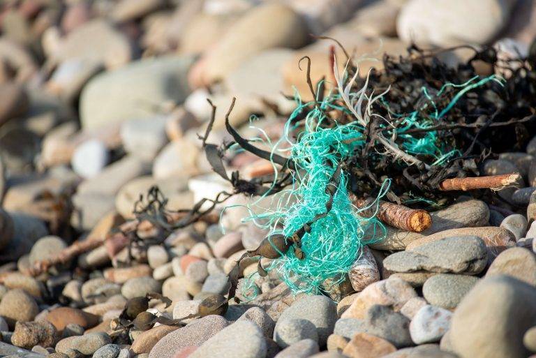 Grønn fiskesnøre viklet inn i tang på stranden